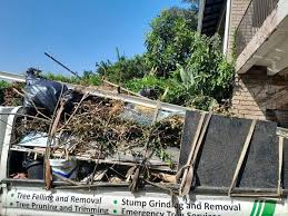  Shenandoah Junction, WV Junk Removal Services Pros
