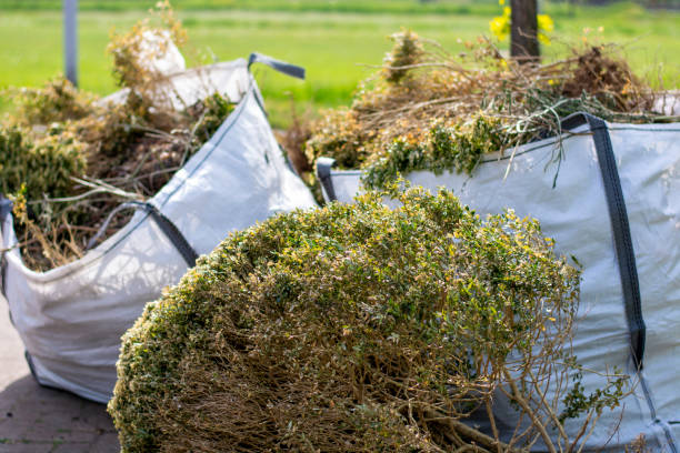 Best Recycling Services for Junk  in Shenandoah Junction, WV